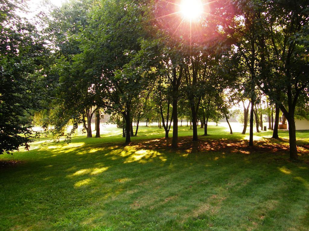 Agriturismo Greppi Crescentino Rom bilde